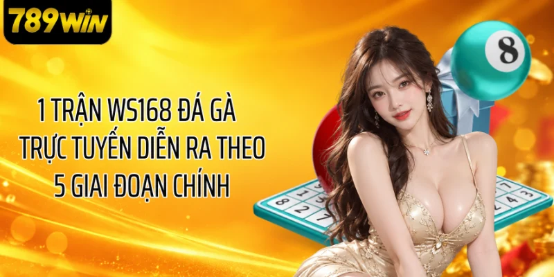 1 trận WS168 đá gà trực tuyến diễn ra theo 5 giai đoạn chính