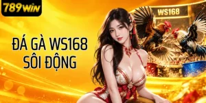 ws168 đá gà
